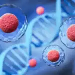 Stem Cell Therapy Cells