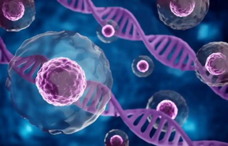 DNA Cell Regeneration