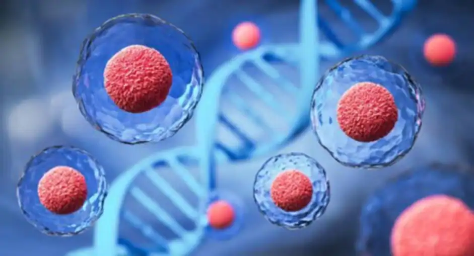 Stem Cell Therapy Cells