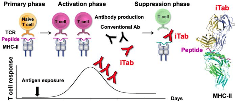 immunotherapy solutions